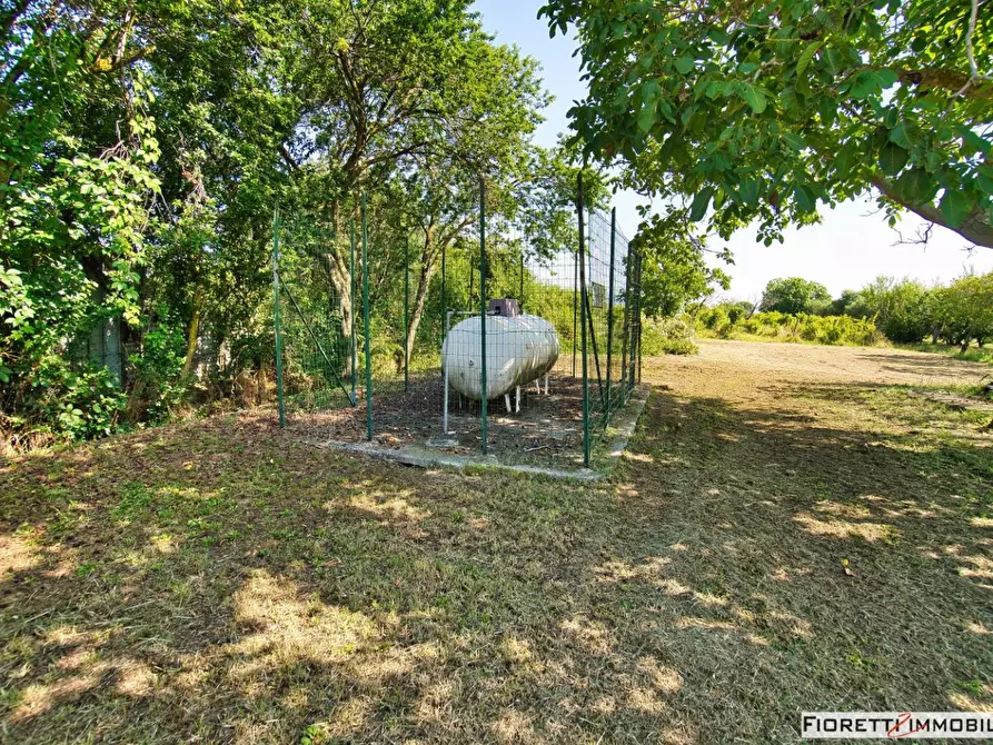 Immagine 60 di Casa colonica in vendita  a Piombino