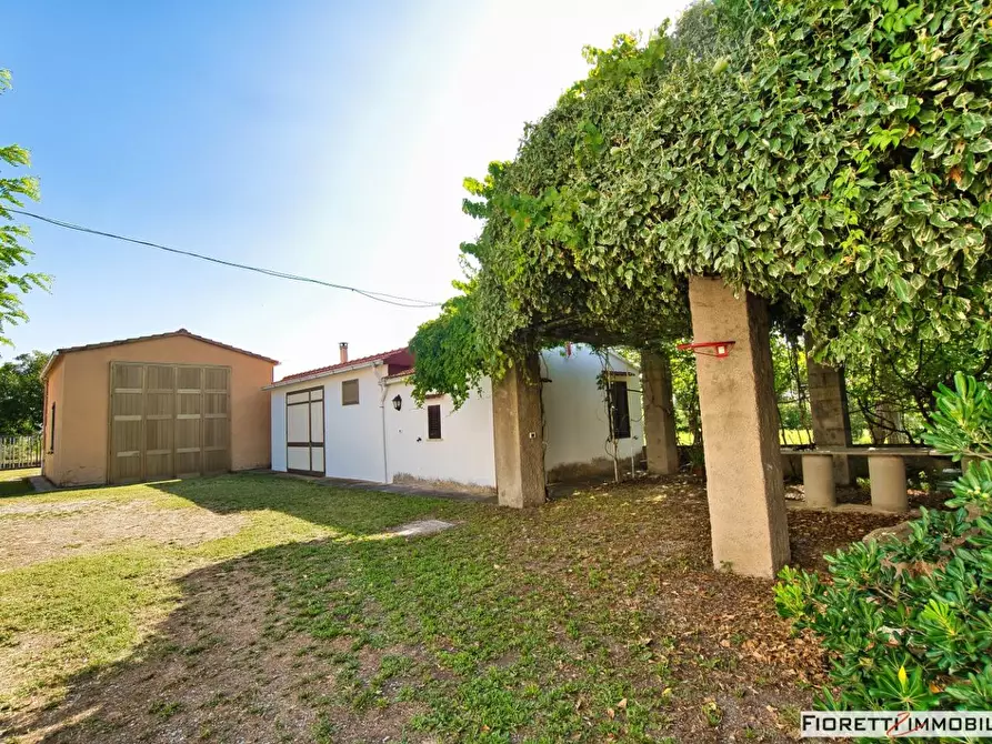 Immagine 50 di Casa colonica in vendita  a Piombino