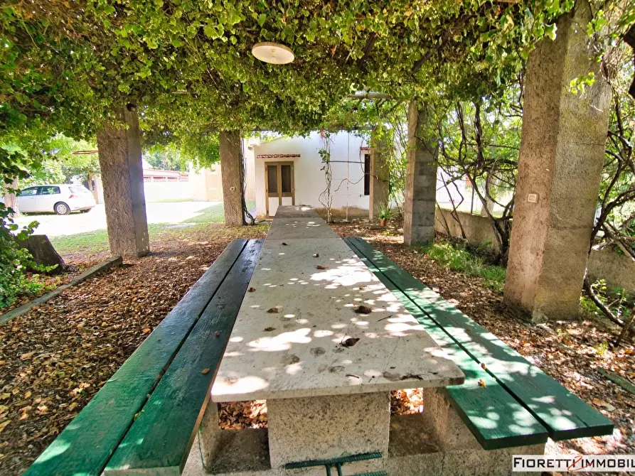 Immagine 64 di Casa colonica in vendita  a Piombino