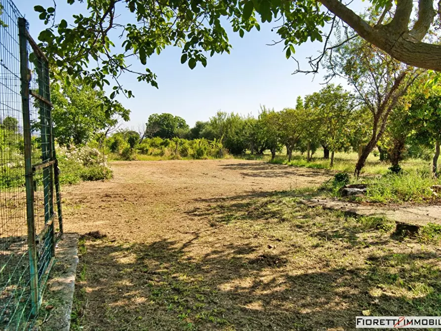 Immagine 61 di Casa colonica in vendita  a Piombino