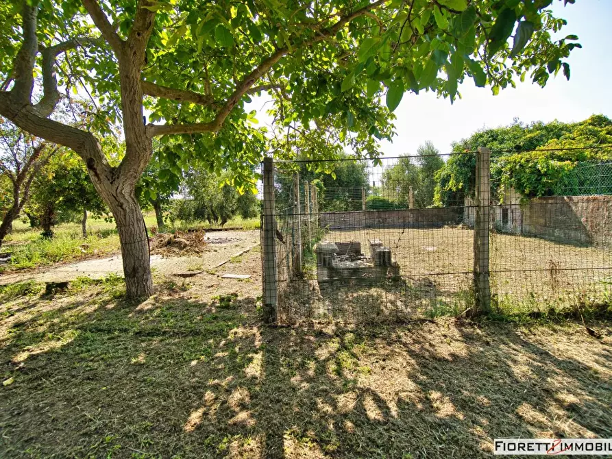 Immagine 62 di Casa colonica in vendita  a Piombino