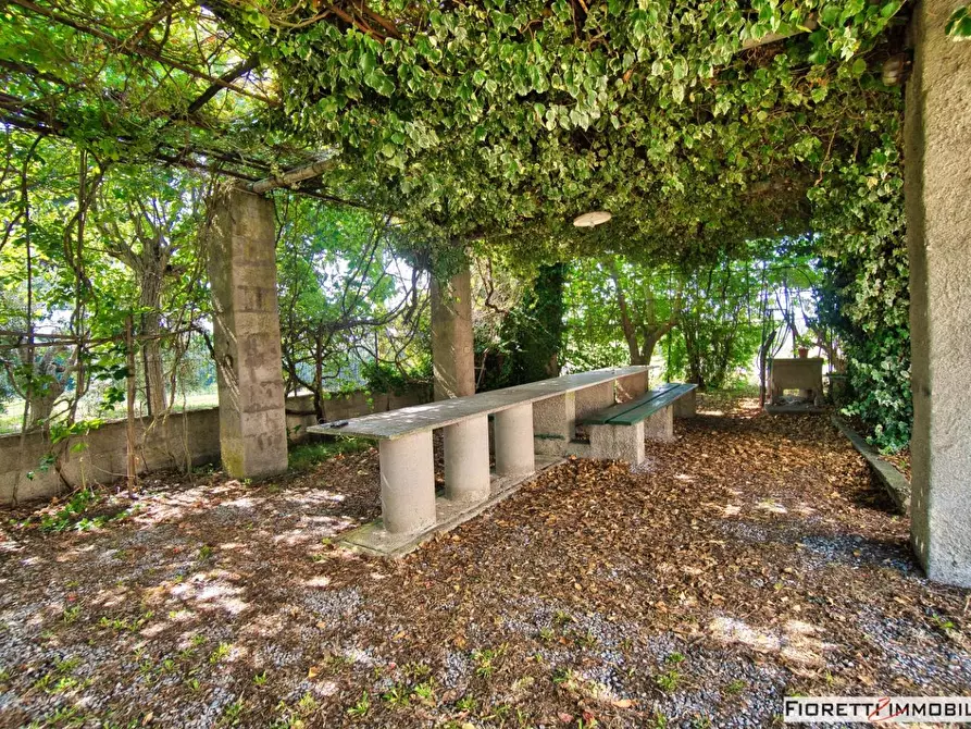 Immagine 63 di Casa colonica in vendita  a Piombino