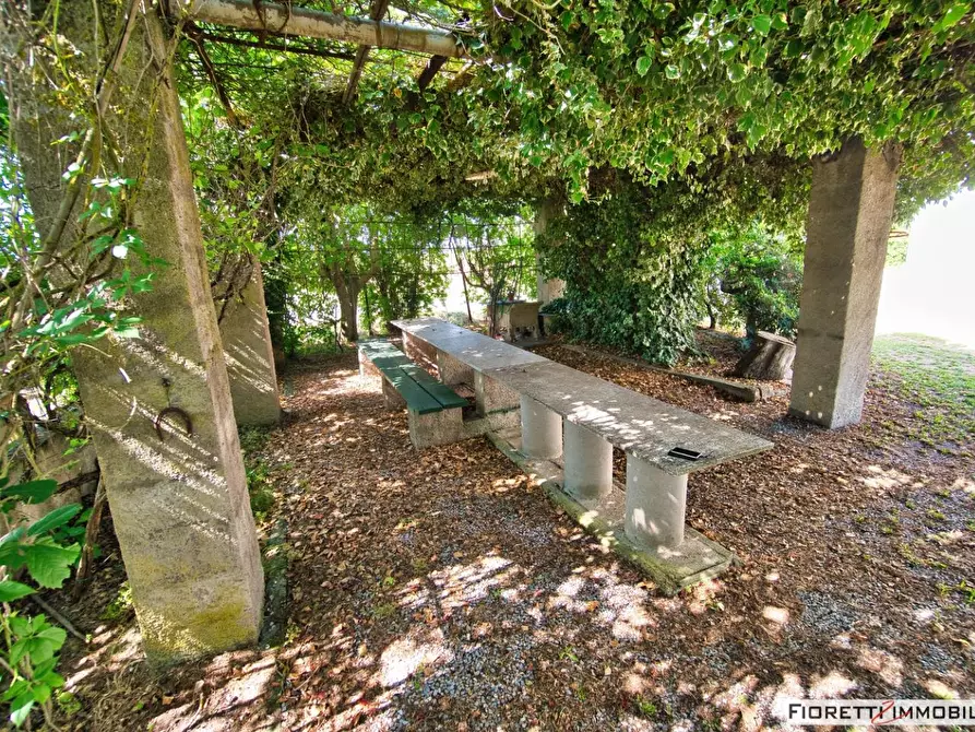 Immagine 65 di Casa colonica in vendita  a Piombino