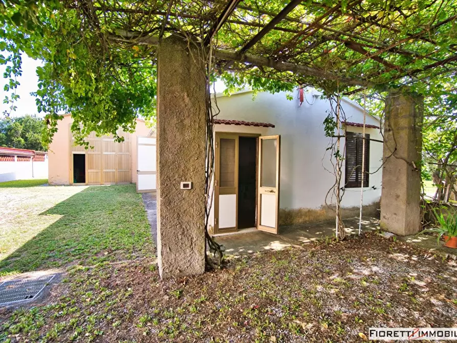 Immagine 52 di Casa colonica in vendita  a Piombino