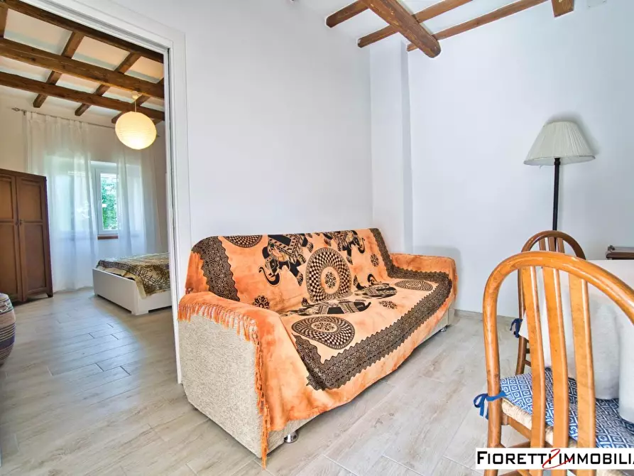 Immagine 35 di Casa colonica in vendita  a Piombino