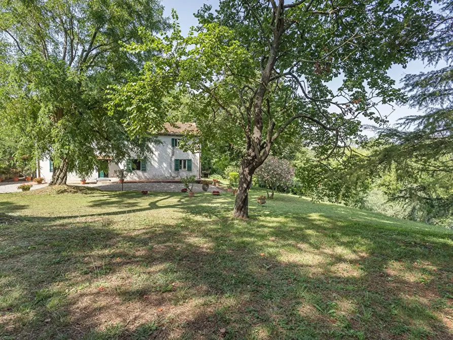 Immagine 1 di Casa colonica in vendita  a Fauglia