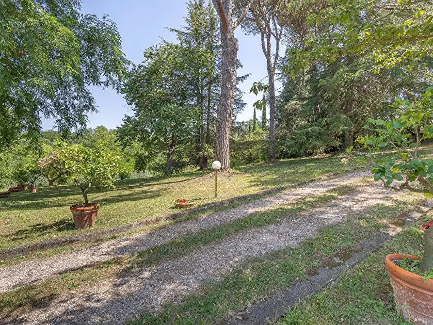 Immagine 5 di Casa colonica in vendita  a Fauglia