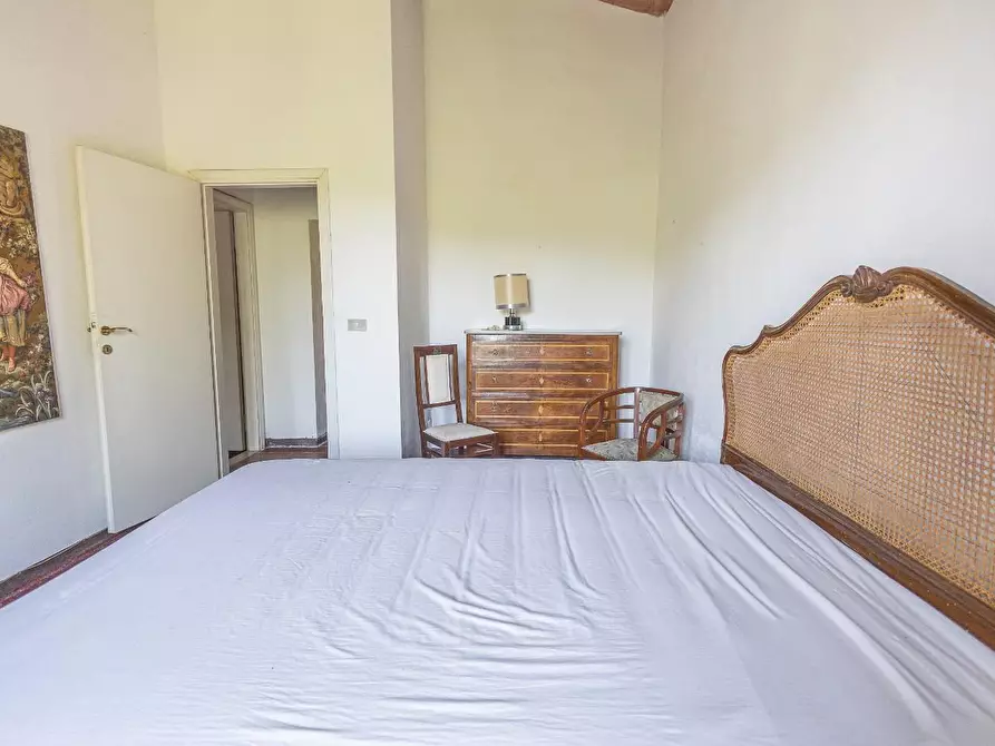 Immagine 18 di Casa colonica in vendita  a Fauglia