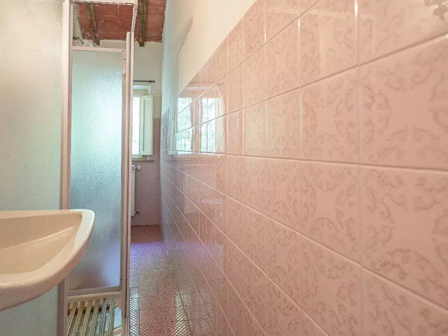 Immagine 14 di Casa colonica in vendita  a Fauglia