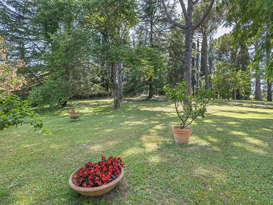 Immagine 7 di Casa colonica in vendita  a Fauglia