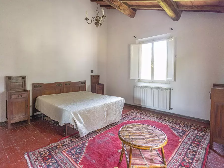 Immagine 19 di Casa colonica in vendita  a Fauglia