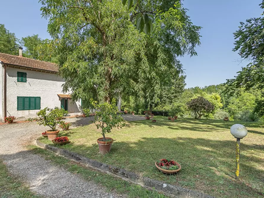 Immagine 3 di Casa colonica in vendita  a Fauglia