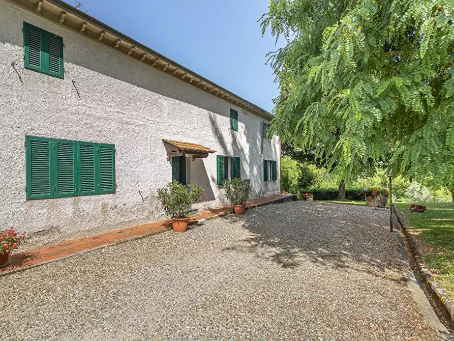 Immagine 4 di Casa colonica in vendita  a Fauglia