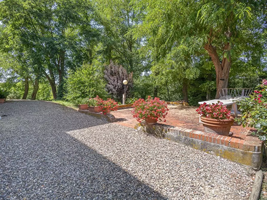 Immagine 6 di Casa colonica in vendita  a Fauglia