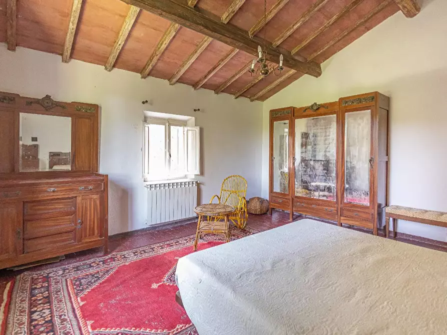 Immagine 20 di Casa colonica in vendita  a Fauglia