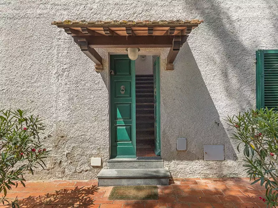 Immagine 8 di Casa colonica in vendita  a Fauglia