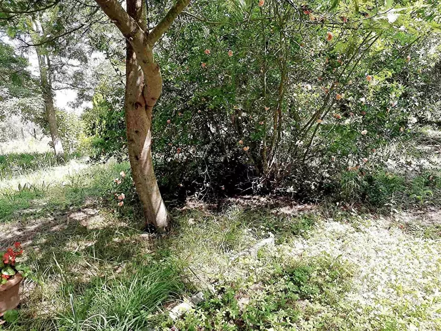 Immagine 10 di Appartamento in vendita  a San Giuliano Terme