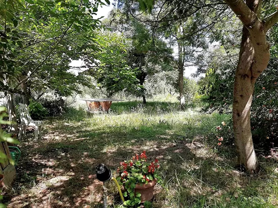 Immagine 4 di Appartamento in vendita  a San Giuliano Terme