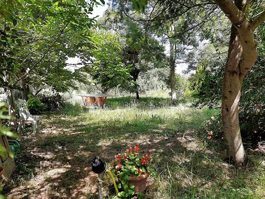 Immagine 19 di Appartamento in vendita  a San Giuliano Terme