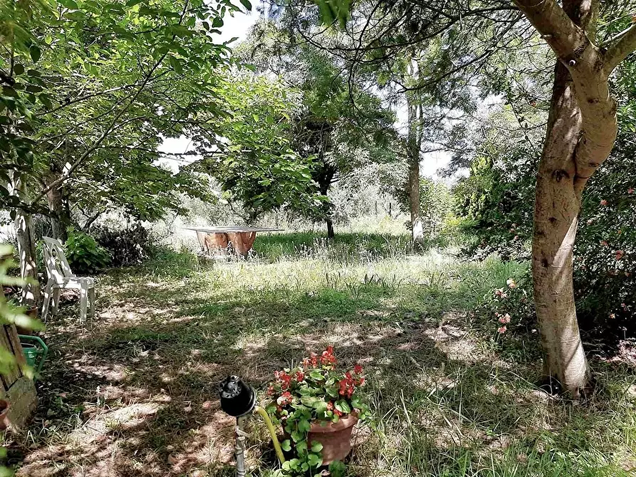 Immagine 9 di Appartamento in vendita  a San Giuliano Terme