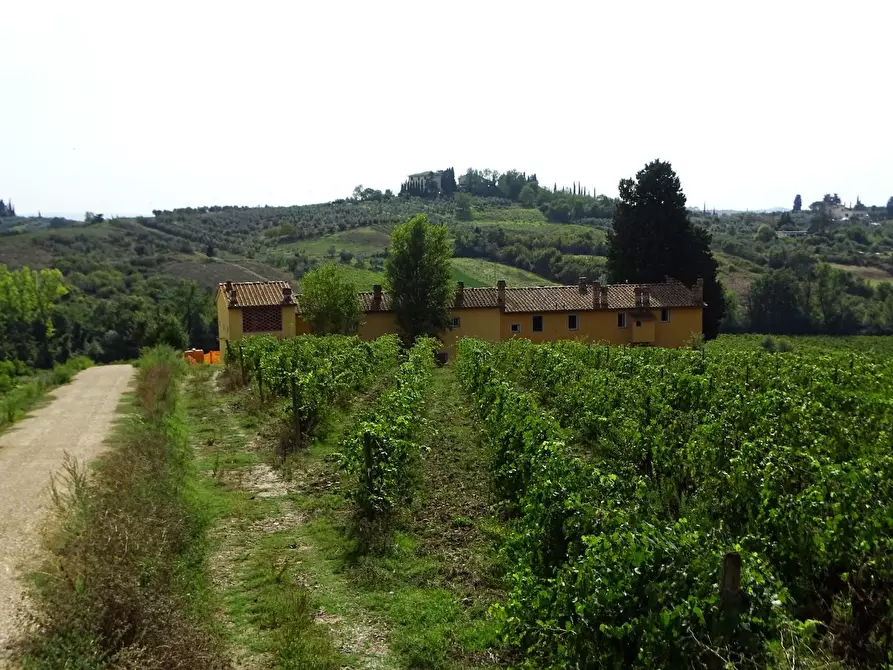 Immagine 4 di Terratetto in vendita  a Empoli