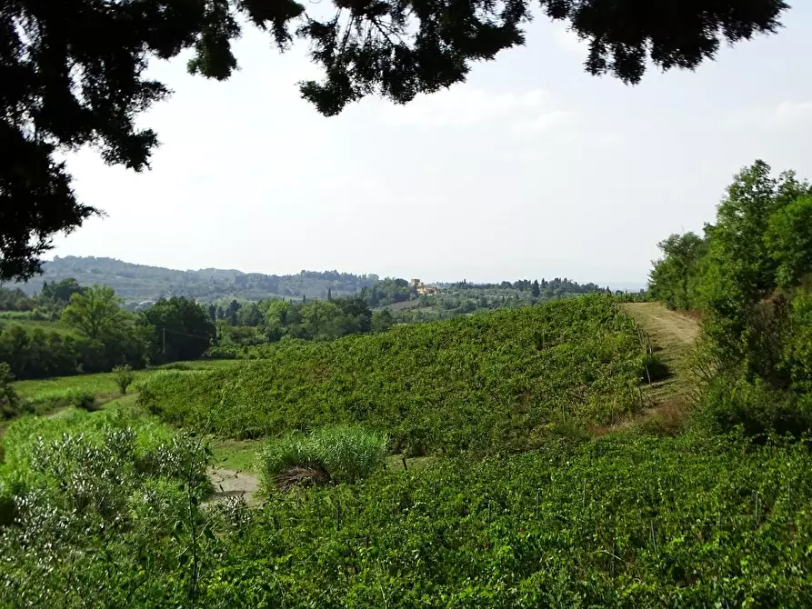 Immagine 6 di Terratetto in vendita  a Empoli