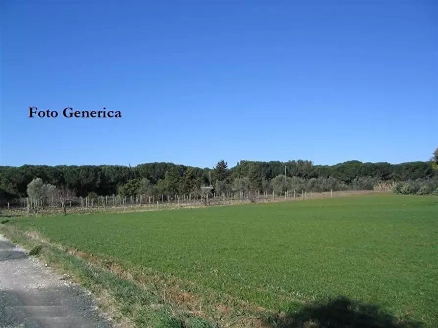 Immagine 1 di Terreno industriale in affitto  a Vicopisano