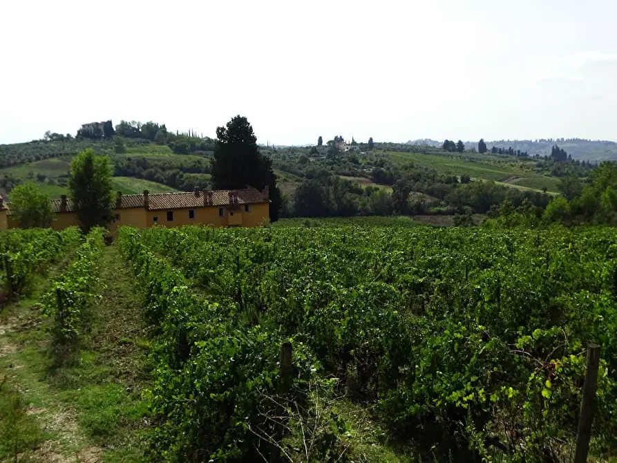 Immagine 5 di Terratetto in vendita  a Empoli