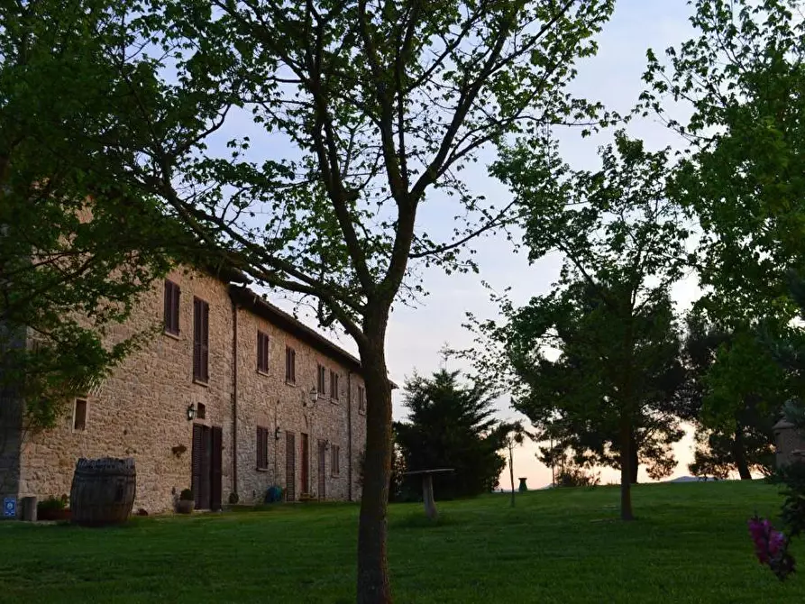 Immagine 48 di Agriturismo in vendita  a Volterra