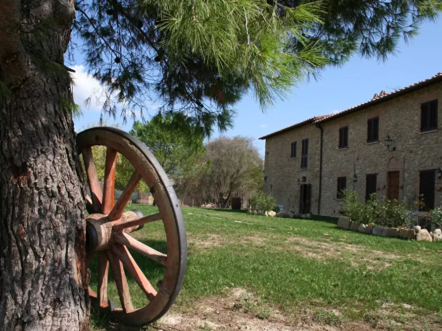 Immagine 74 di Agriturismo in vendita  a Volterra