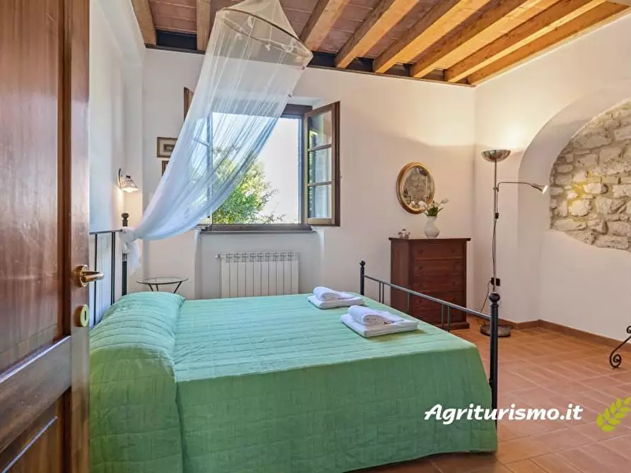 Immagine 28 di Agriturismo in vendita  a Volterra