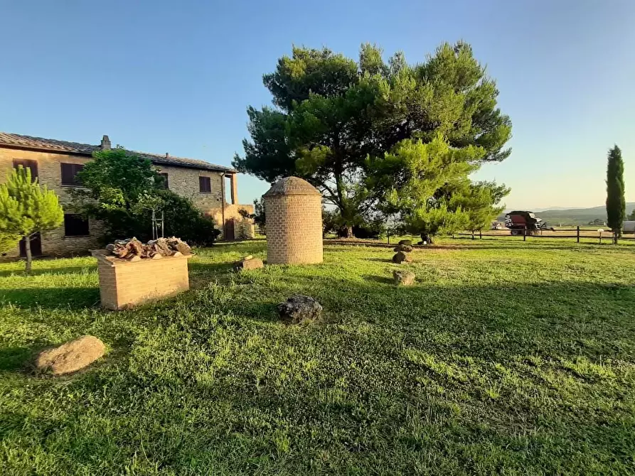 Immagine 21 di Agriturismo in vendita  a Volterra