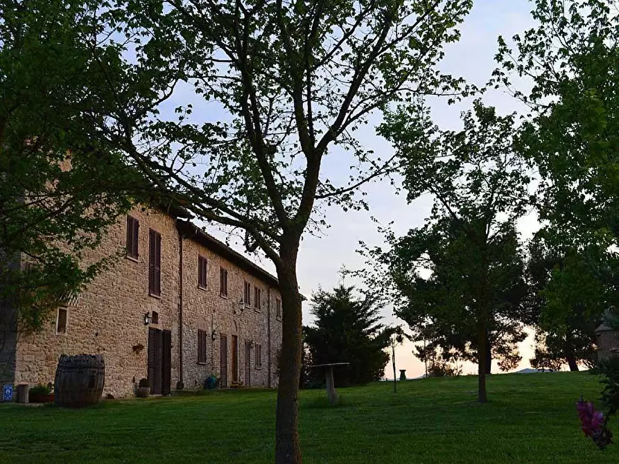 Immagine 50 di Agriturismo in vendita  a Volterra