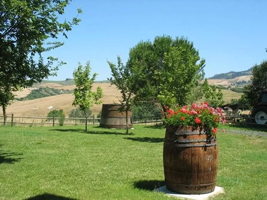 Immagine 55 di Agriturismo in vendita  a Volterra