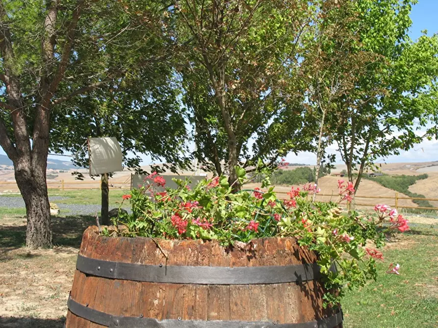 Immagine 71 di Agriturismo in vendita  a Volterra