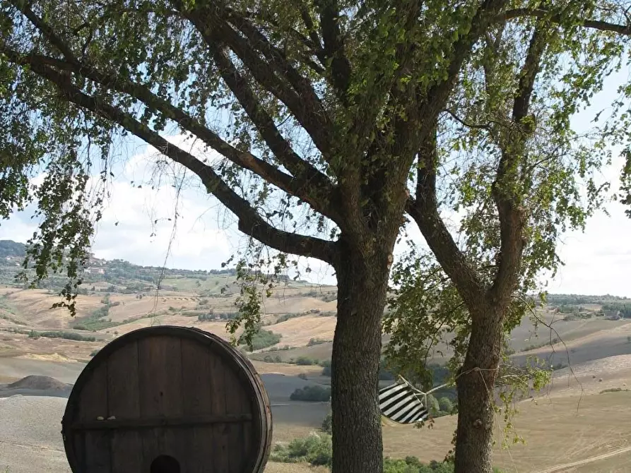 Immagine 78 di Agriturismo in vendita  a Volterra