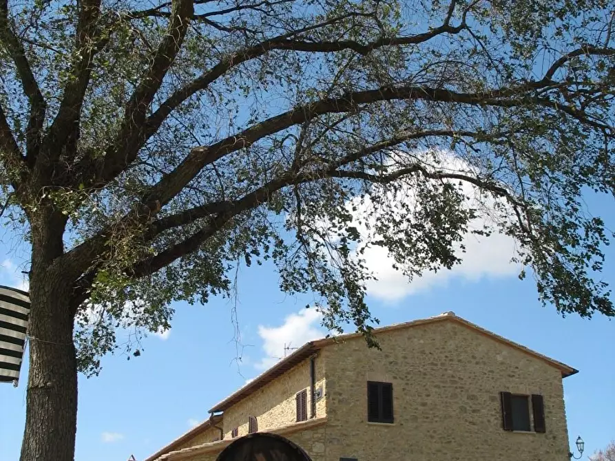Immagine 66 di Agriturismo in vendita  a Volterra