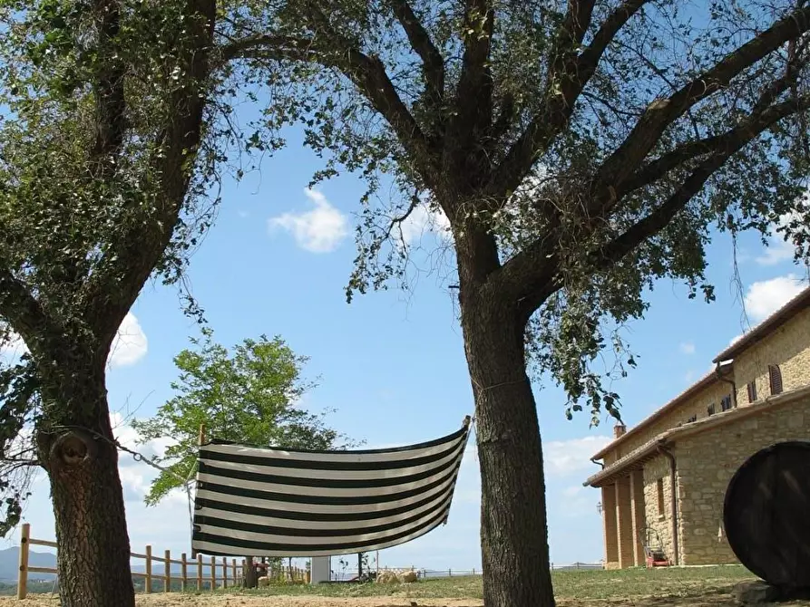 Immagine 67 di Agriturismo in vendita  a Volterra