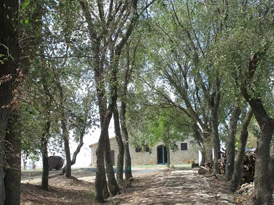 Immagine 73 di Agriturismo in vendita  a Volterra