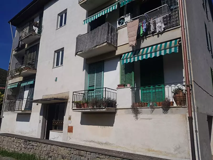 Immagine 28 di Appartamento in vendita  a Calci