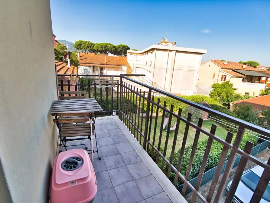 Immagine 23 di Appartamento in vendita  a Gavorrano