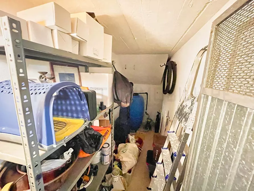 Immagine 49 di Appartamento in vendita  a Gavorrano