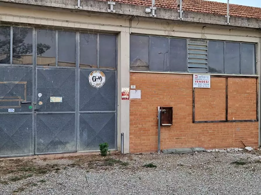 Immagine 3 di Attività artigianale in vendita  a Casciana Terme Lari