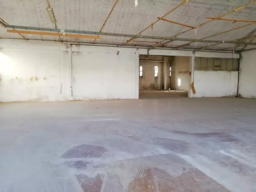 Immagine 13 di Attività artigianale in vendita  a Casciana Terme Lari