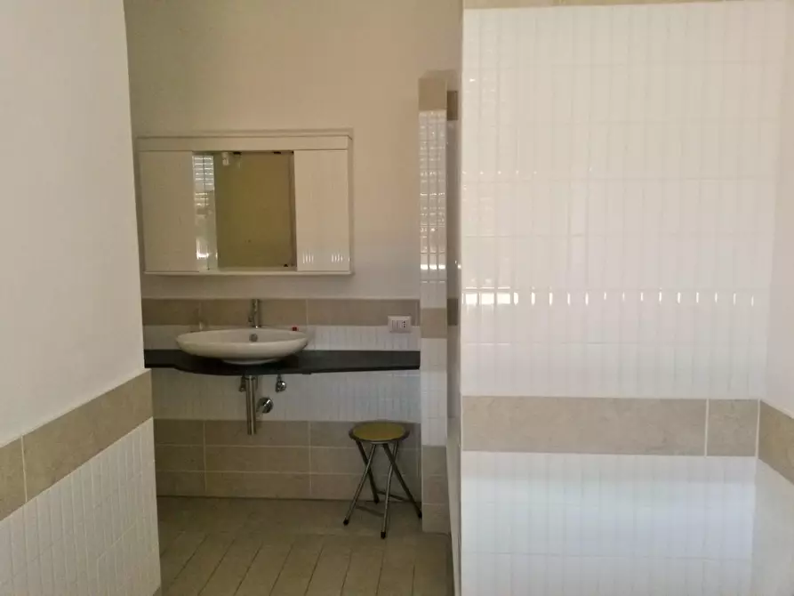 Immagine 11 di Attività artigianale in vendita  a Casciana Terme Lari