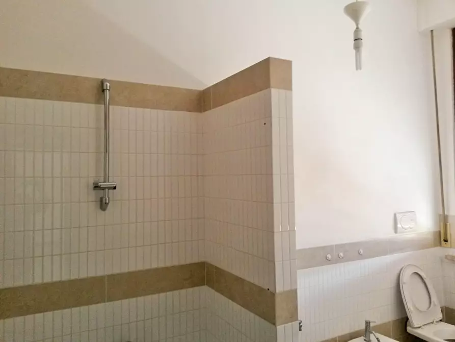 Immagine 12 di Attività artigianale in vendita  a Casciana Terme Lari