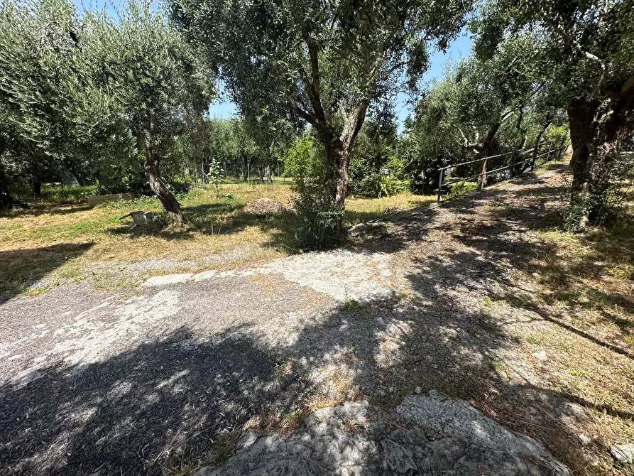 Immagine 3 di Casa indipendente in vendita  a Montignoso