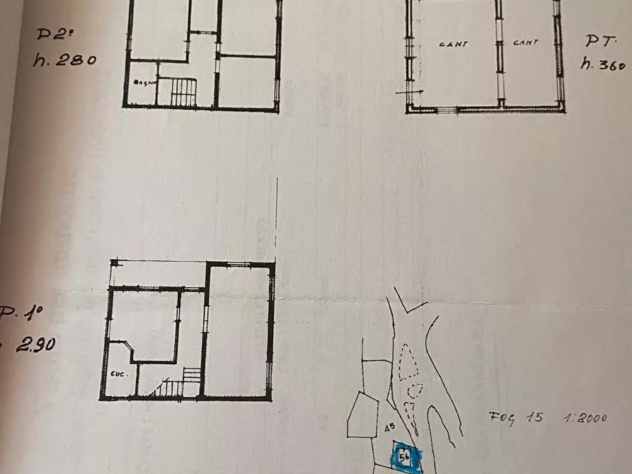 Immagine 4 di Casa indipendente in vendita  a Montignoso