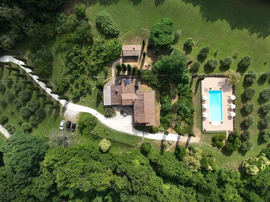 Immagine 12 di Casa colonica in vendita  a Chianni