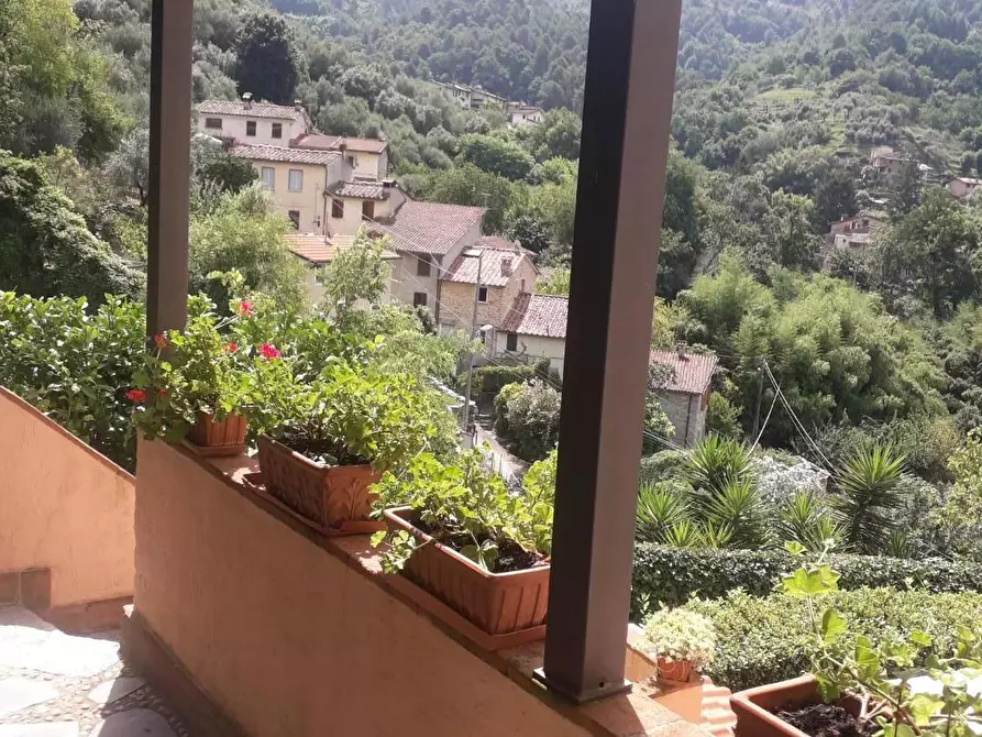 Immagine 5 di Terratetto in vendita  a Pietrasanta